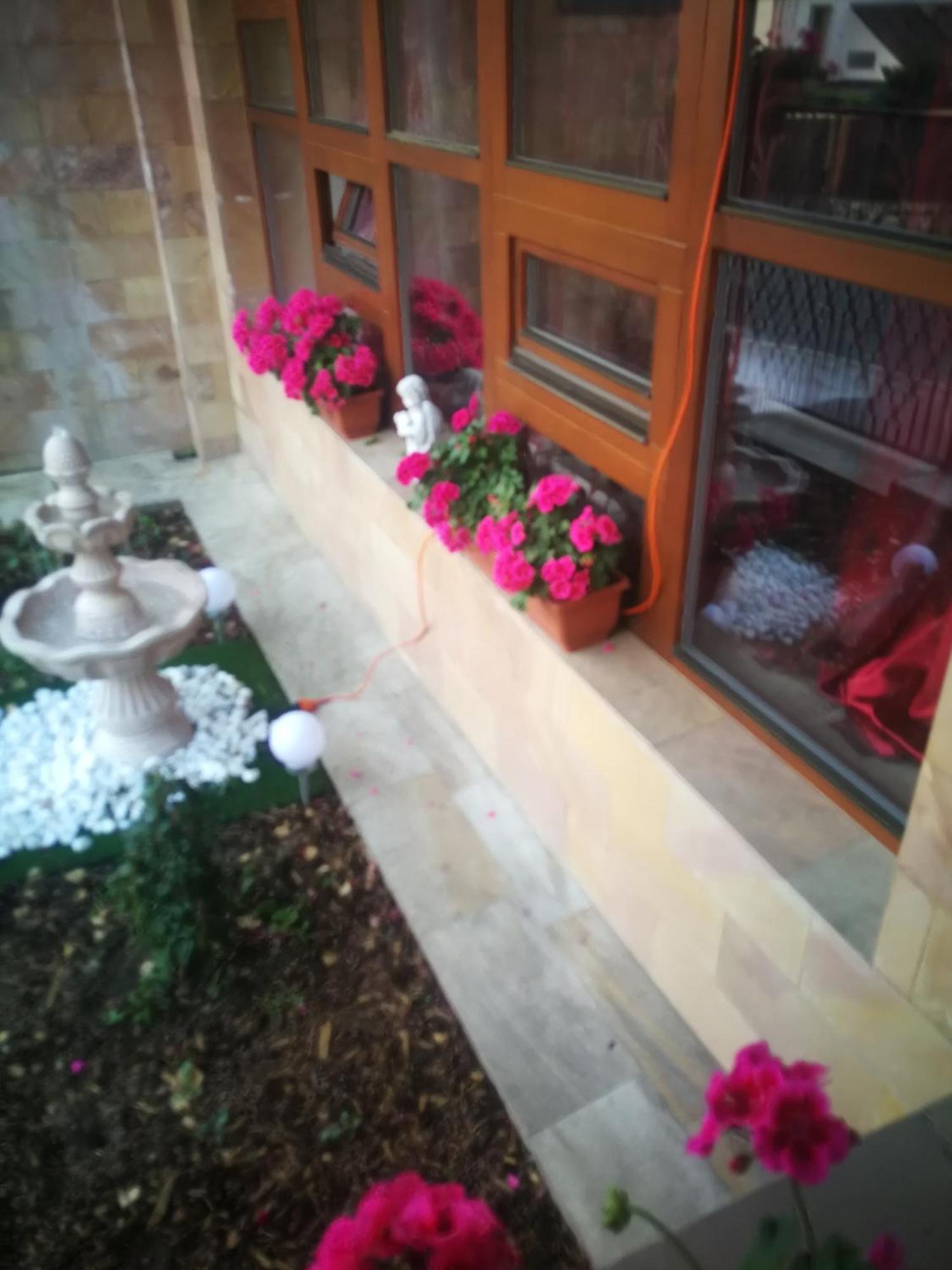 Villa Barrandovska Praha Eksteriør bilde